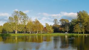 Praise  and concern for Templemore Town Park 