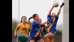 Tipperary champions Boherlahan/Dualla bow out of Munster with semi-final defeat to Glanmire