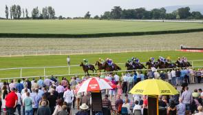 New date set for next Tuesday for horse racing meeting in Clonmel