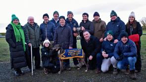 Great weekend of coursing at Templetuohy