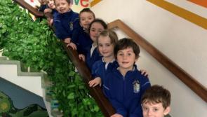 Scoil Angela Ursuline - a mixed primary school with a wide range of facilities 