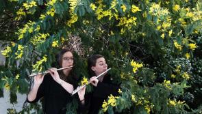Booking now open for innovative Clonmel classical music festival