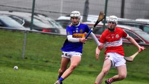 HARTY CUP: Players to watch in Sunday's landmark all Tipperary final