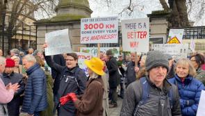 Tipperary activists take battle to protect hedgerow corridors to Dáil Eireann