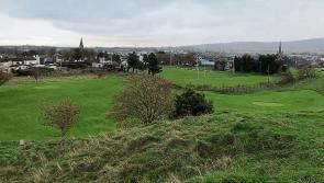 Plans  designed to improve Tipperary Hills amenity are revealed