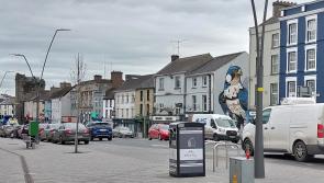 BREAKING: Fianna Fáil Tipperary stalwart resigns to support Independent candidate