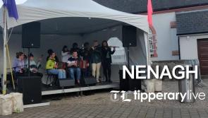 Here are some of the highlights from Nenagh's St Patrick's Day festival