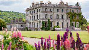 The Comeragh Wilds Festival will mark its 10th birthday in style this summer 