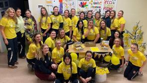 Presentation students raise more than &euro;2,000 from Daffodil Day events