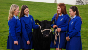 Ursuline students celebrated at Certified Irish Angus Schools Competition at Croke Park