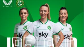 POLL: Are you a fan of the new Ireland away kit?