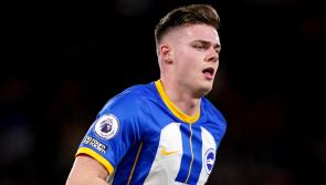 Brighton manager provides injury update on Evan Ferguson ahead of FA Cup semi-final against Man Utd