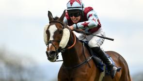 The story of Ireland's biggest ever winner - Sawbuck's 300/1 win at Punchestown