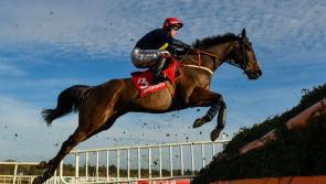 'All systems go' this week for Fastorslow in Ladbrokes Gold Cup