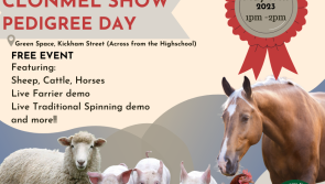 Clonmel Show Pedigree Day promises to be a real hive of activity
