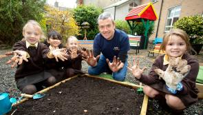 Non-profit aims to raise €1m for food and mental health programme at Irish primary schools