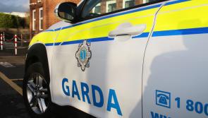 Gardaí arrest woman following 'erratic' behaviour at Limerick residence 