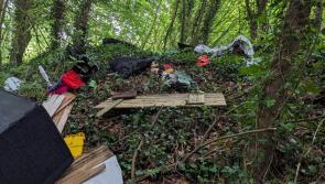 Rubbish dumping near site of 1798 Rebellion battle in county Tipperary is condemned