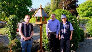 Super work is undertaken  for biodiversity by the Moyne Road residents in Thurles 