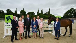 HSI announce breeding grants worth over €500,000 for this year 