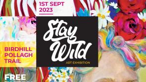 Tipperary outdoor art trail to open on July 15