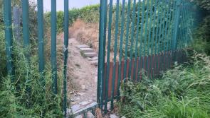 Calls for a wall to be built between two Cashel estates to stop anti-social behaviour