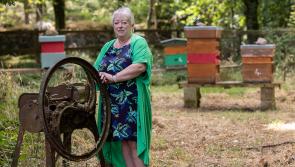 Life is a breeze for Tipperary artisan Maggie on the Knockmealdowns