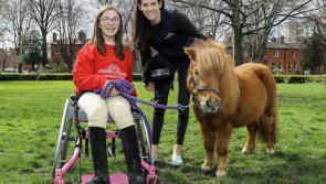 Festina Lente is this year’s Positive Strides equine charity at the RDS Dublin Horse Show