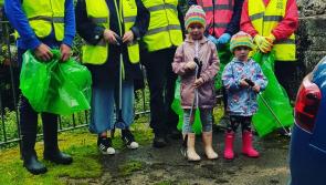 Tipperary Town litter volunteers praised for their fantastic work