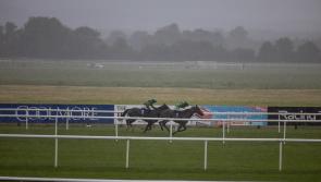 Coolmore Stud Churchill Stakes the feature race at Tipperary Races