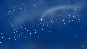 Shooting Star display will be spectacular over Tipperary skies tonight!