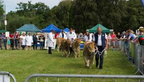 Iverk Show organisers ready to welcome bumper crowd to South East's biggest showcase of rural life