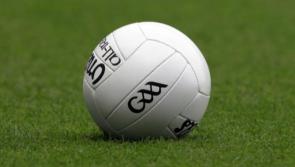 Revealed: Tipperary GAA club gets permission for training pitch with flood lighting 