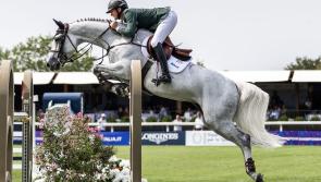 Tipperary once more to the fore as Ireland win showjumping silver! 