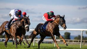 HORSE RACING: A brilliant week for Tipperary jockeys and trainers 