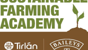 New college bursaries being offered to Tirlán's Tipperary milk and grain supplier families 
