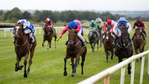 Clonmel racing gets going again this evening after the summer break 