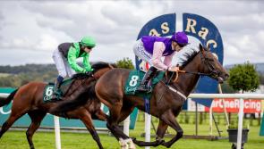  RACING: Two upcoming big money Irish EBF Auction Finals to look forward to 
