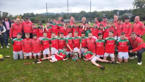 Cashel King Cormacs bridge a forty year gap in style