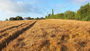 Farm families encouraged to attend IFA election debate in Tipperary 