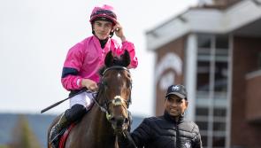Jockey Wayne Hassett doubles up in the winning enclosure at Killarney and Tipperary 