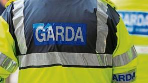 Rank and file gardai take industrial action