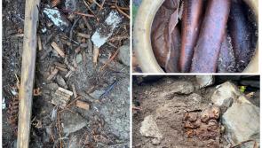 Explosives believed to be from War of Independence found on former RTÉ journalist's farm