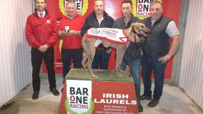 Tipperary trained Jacktavern Bolt is the favourite for the Bar One Racing Irish Laurels final