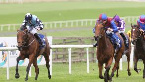 Aidan O'Brien among the Tipperary winners last weekend as the racing season rolls on 