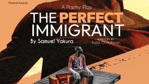 The Perfect Immigrant - a play worth seeing - arrives in Thurles tonight! 