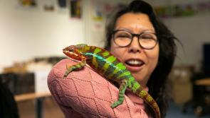 Action packed programme of activities for South East Science Festival