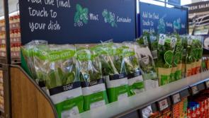 Over €1 million spent in renovations on the new look ALDI store in Cashel 