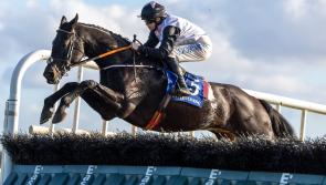 Superb week for Tipperary trainers, horses and jockeys with Rachel Blackmore leading the way 