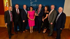 Recognition for Tipperary projects at Pride of Place ceremony